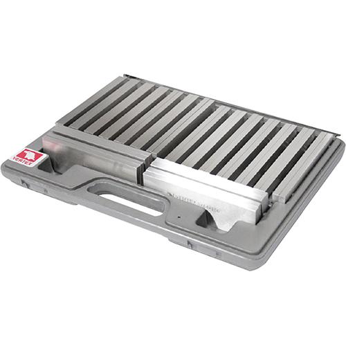 버텍스 패럴블록